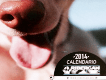 Commandez le calendrier 2014 du refuge Ribercan !