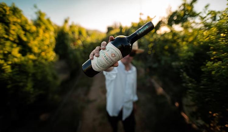 Os 5 atributos que você deve procurar no vinho para saber se é bom