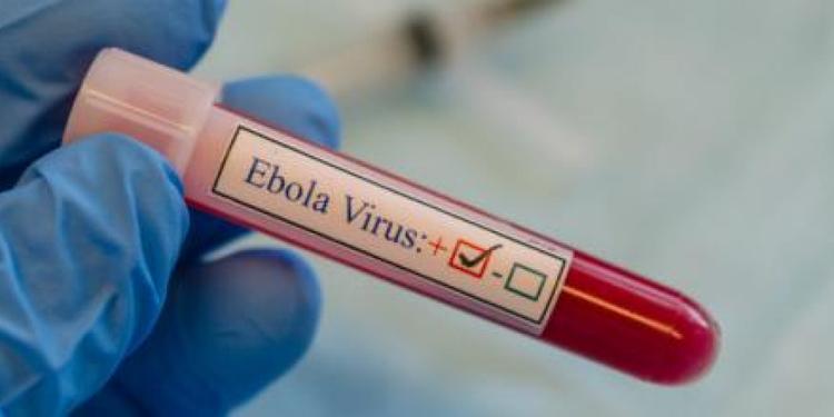 Virus dell'Ebola: ad oggi 204 morti nella Repubblica Democratica del Congo