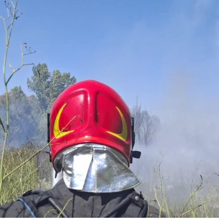 Incendio sulla Roma-Fiumicino, stop ai treni a Ponte Galeria