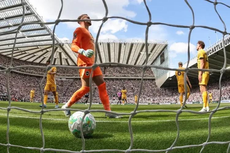 Brighton bizarrely claim cheated by match officials in 3-1 defeat to Newcastle United
