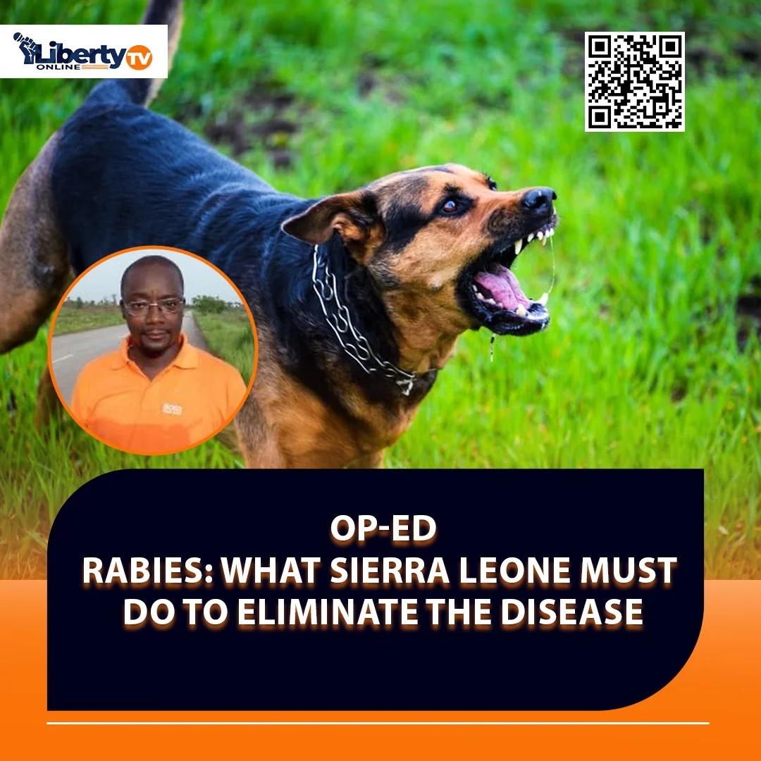 Rabies: What Sierra Leone must do to eliminate the disease