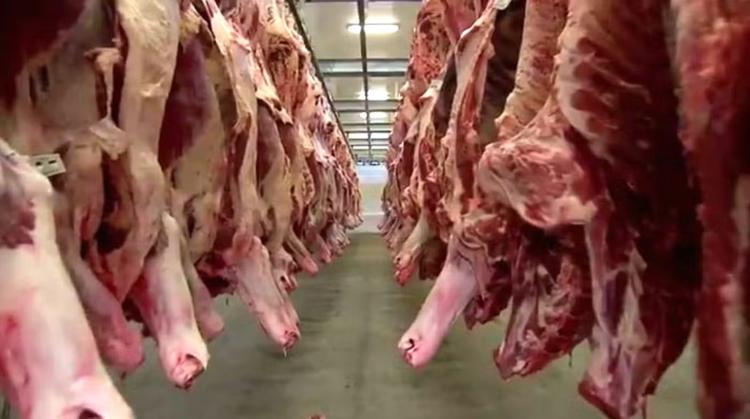 Frigoríficos de MS entram em férias coletivas e reduzem abates para evitar sobretaxa de exportação à China