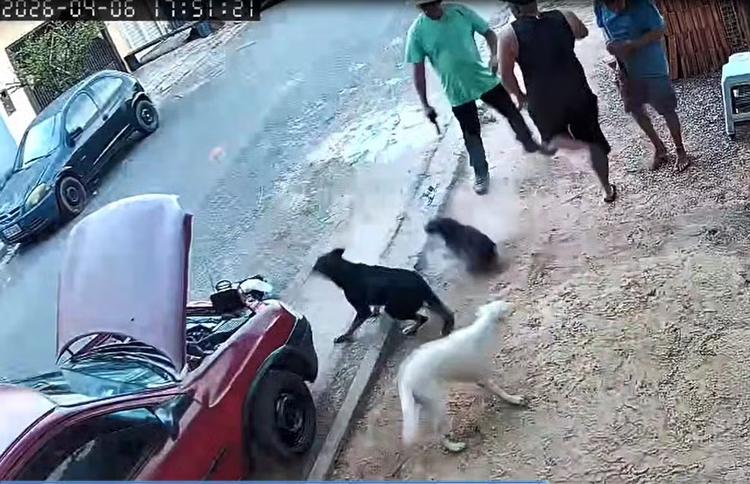 Câmara de Itu vota nesta sexta cassação de vereador que atirou na direção de cachorro
