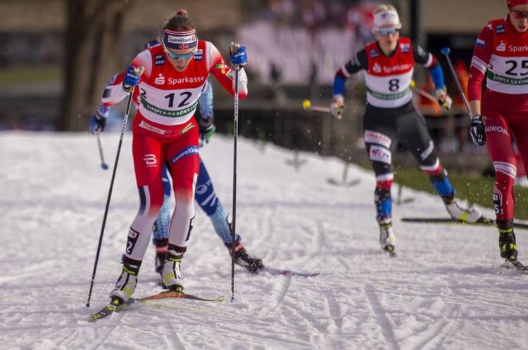 Ski nordique, saut à ski, Vu de Norge, Norvège, Biathlon, Ski de fond, Combiné nordique