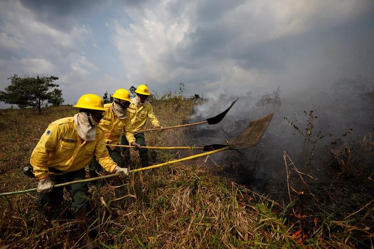 Área queimada no Brasil cai 31% em 2025; Cerrado concentra 69% do total