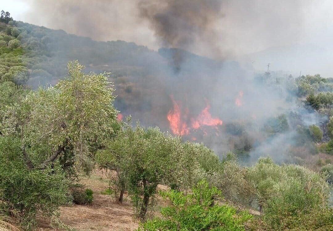 Incendio ad Ascea Marina: fiamme vicine alle case, soccorsi in azione
