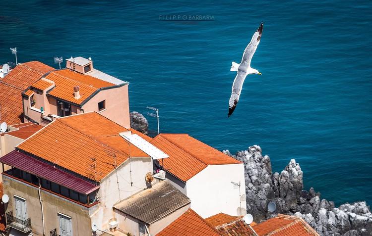 Tra tetti e mare, Cefalù si racconta in scorci semplici e autentici.✨🌊 #visitcefalu