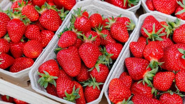 Truque simples faz morangos durarem muito mais na geladeira