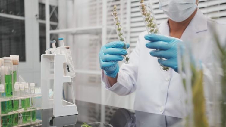 James Hutton Institute Joins PhenomUK Crop Programme