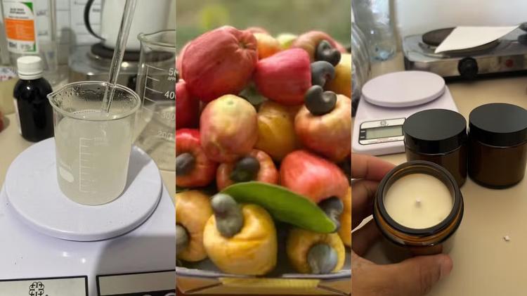 Farmacêutico transforma caju em fragrância e lança linha de aromas no PI