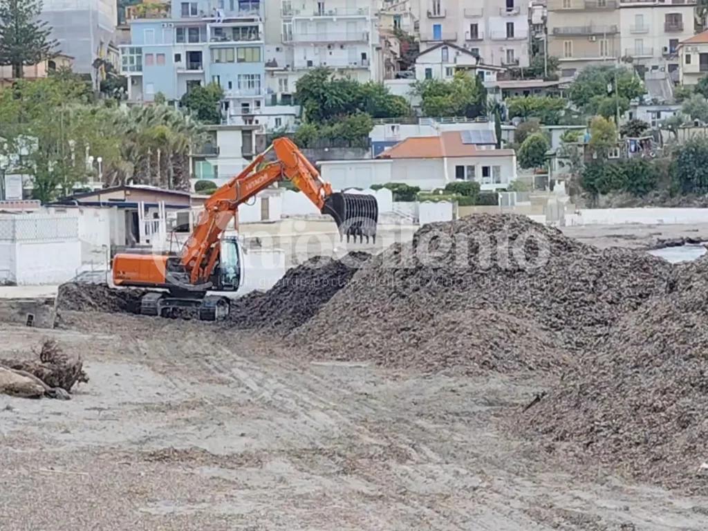 Agropoli, al via la rimozione della posidonia: le spiagge si preparano all’estate tra novità e criticità
