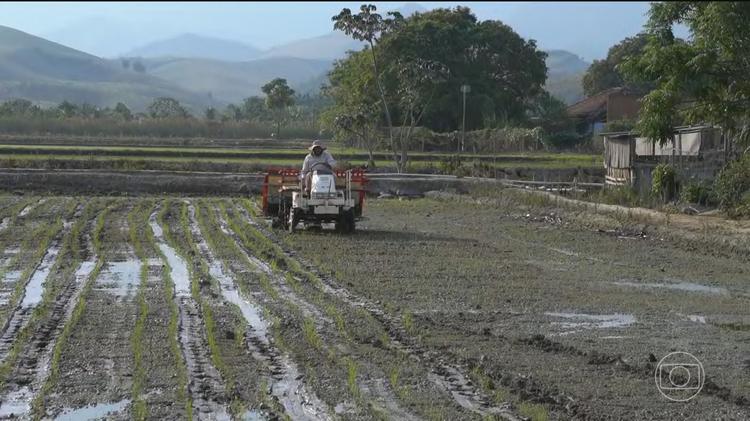 Agro brasileiro estima em mais de 36% o impacto do novo tarifaço de Trump; governo fala em manter diálogo e negociação