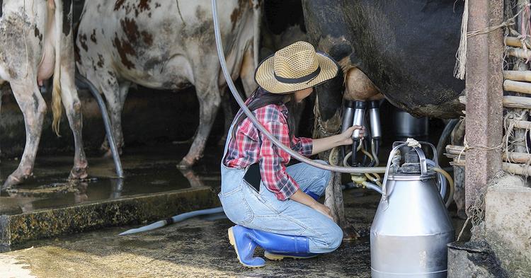 Nova linha de crédito de R$ 10 milhões financia cooperativa de agricultores familiares para fábrica de leite em pó