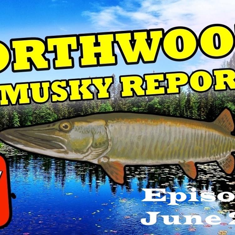 5: Northwoods Fishing Report