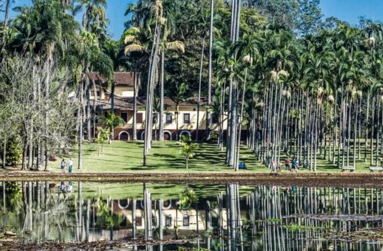 Obra em estrada de floresta estadual suspende visitação de segunda a sexta por um mês
