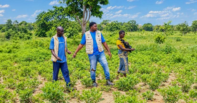 Cresol participa de projeto para fortalecer cooperativas de agricultores em Moçambique