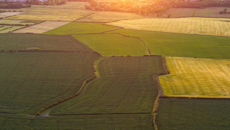 £3 Billion DNA Project: How Sequencing UK Biodiversity Could Transform Agriculture and Innovation