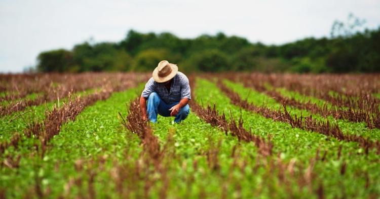 Cooperativismo debate o endividamento rural no país