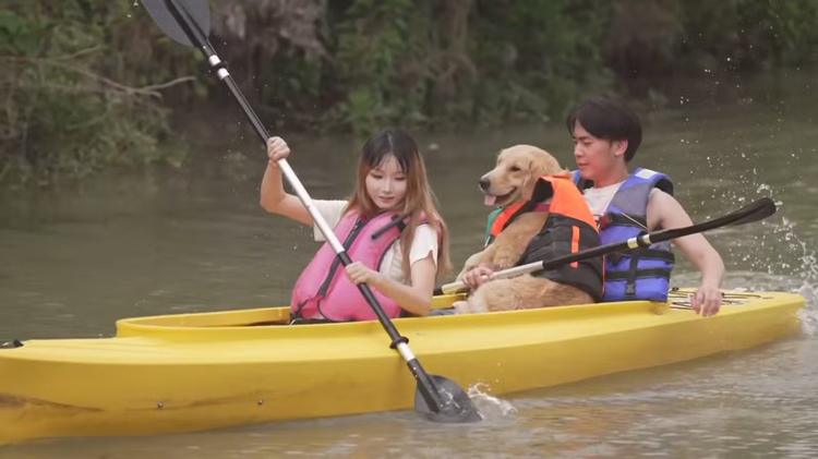 Mercado pet na China cresce com restaurantes, hotéis e serviços exclusivos para cães