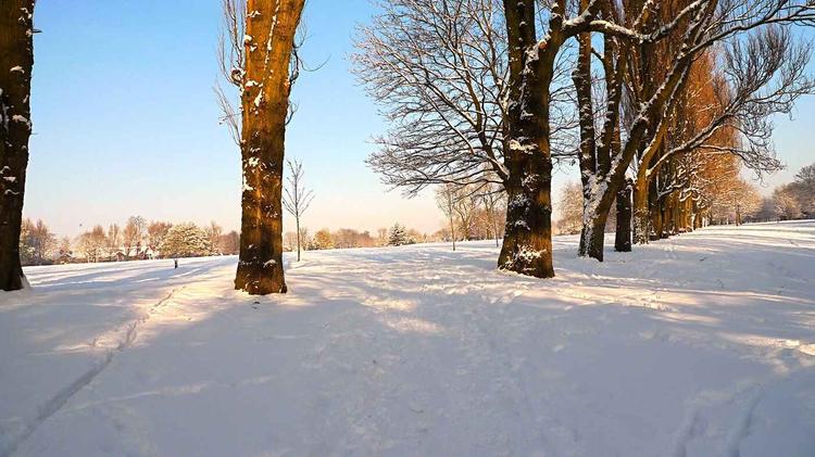 Summerfield Park in the winter