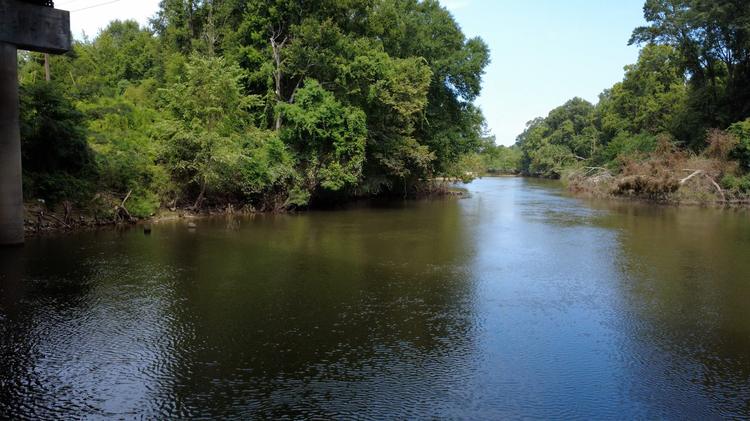 Mississippi nonprofit expands alligator hunts for children with disabilities