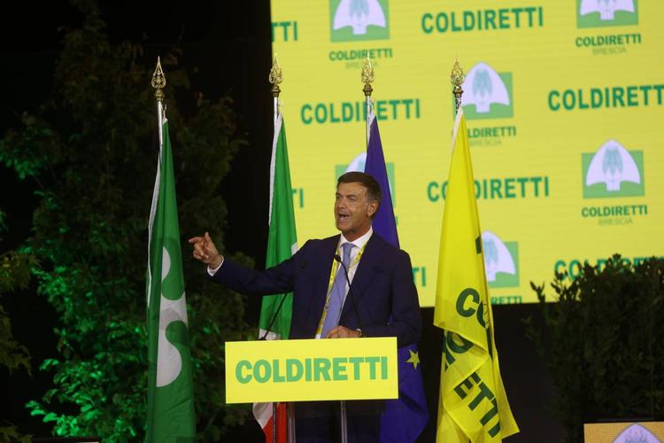 L'allarme di Coldiretti: "Fermiamo i trafficanti di olio e grano duro, difendiamo il Made in Italy"