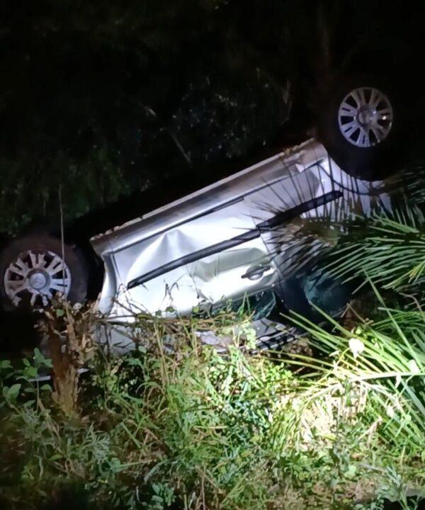 Em Panambi, dois acidentes  de trânsito provocados por cachorros na rua