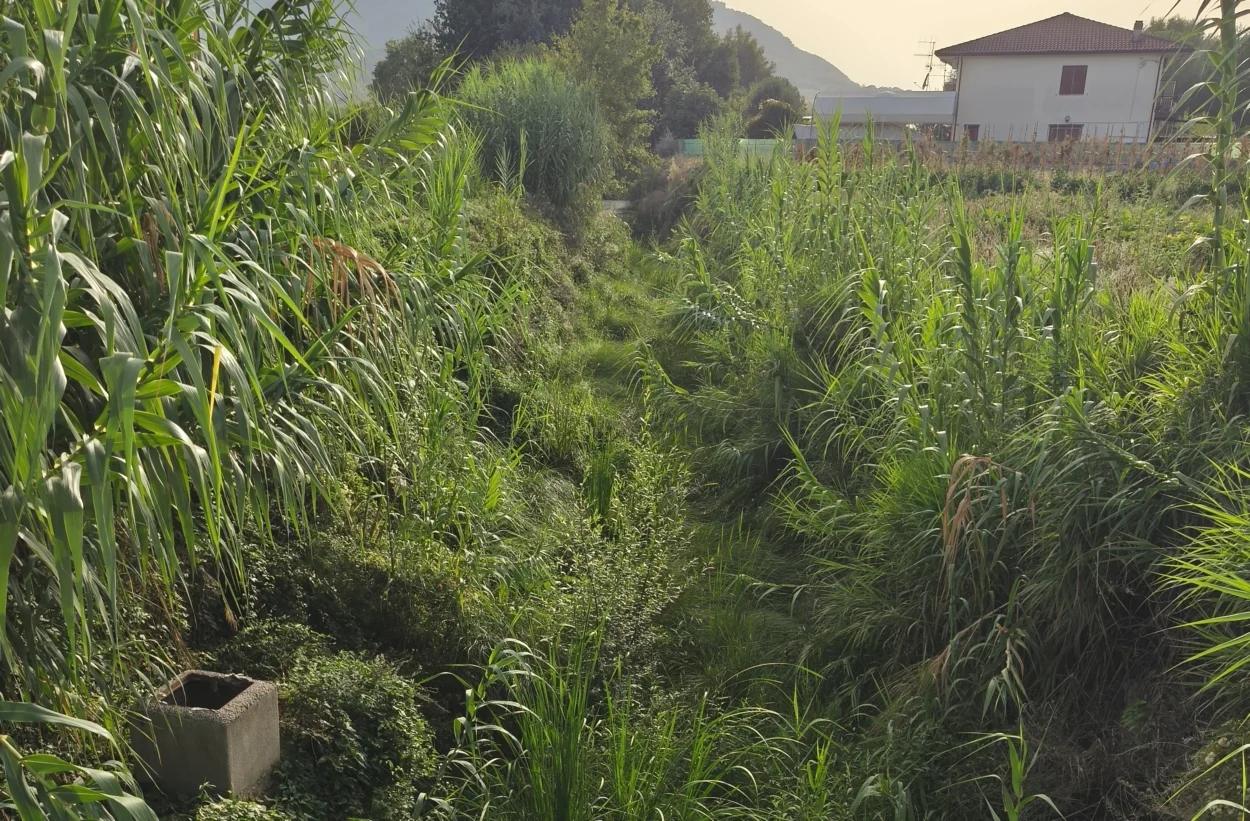 Agropoli, rischio allagamenti al rione Moio: appello per la pulizia dei canaloni