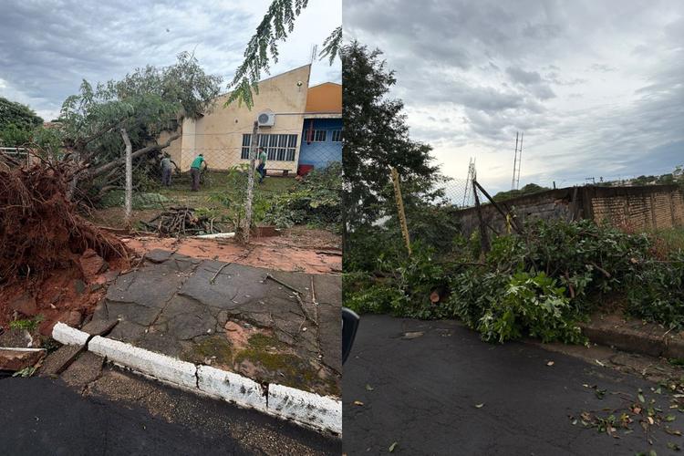Temporal provoca alagamentos e estragos no Oeste Paulista; previsão indica mais chuva e ventos de até 75 km/h