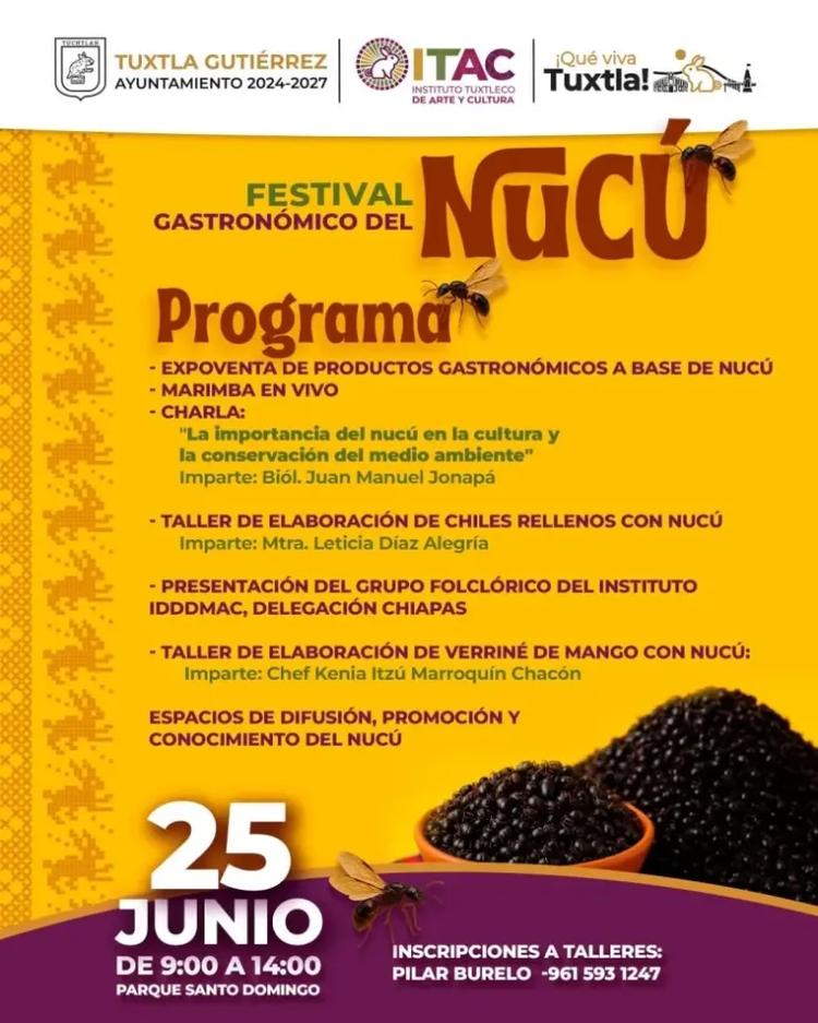 ¡Expertos analizan el futuro electoral en el 1er. Seminario de Derecho Electoral!