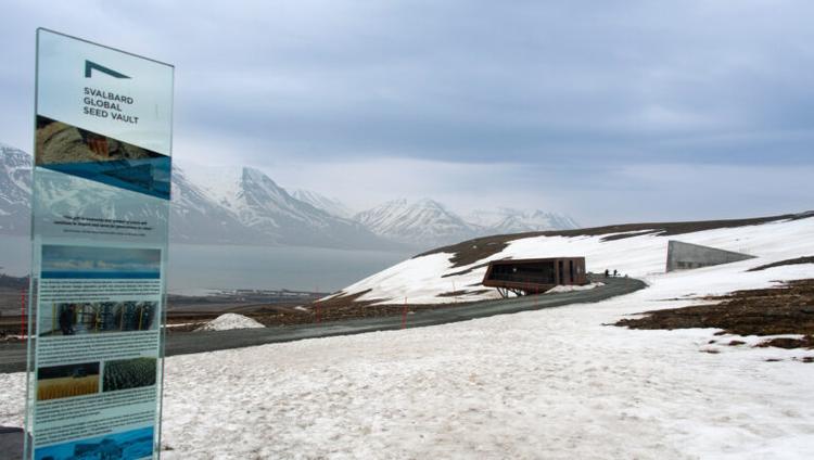 Svalbard Seed Vault Surpasses 1.4M Seed Samples