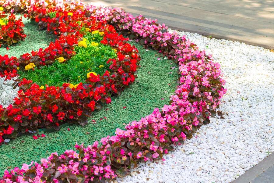“Agropoli Fiorisce”: il Comune affida il verde pubblico a privati e associazioni in cambio di pubblicità gratis