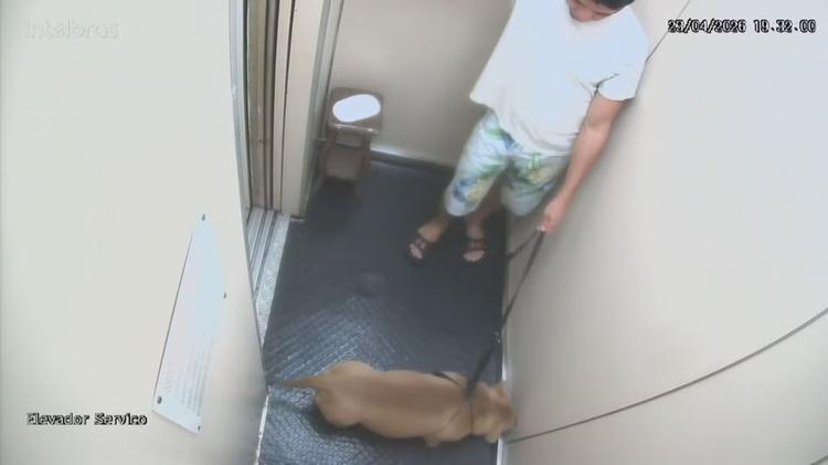 'A pessoa que o cão mais confiava', delegado diz que equipe ficou chocada com cachorro morto por tutor em Copacabana