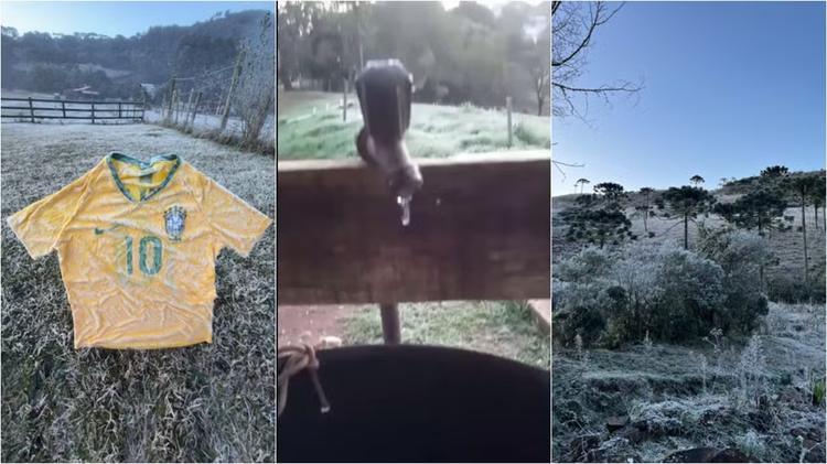 Dia mais frio do ano em SC tem mais de 20 cidades abaixo de 0°C, 'amarelinha' congelada e geada