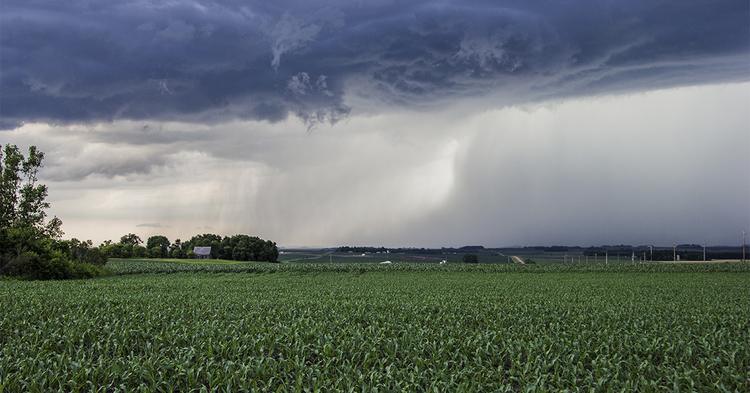 Seguro rural avança com 7 inovações para reduzir riscos climáticos e ampliar proteção no agronegócio