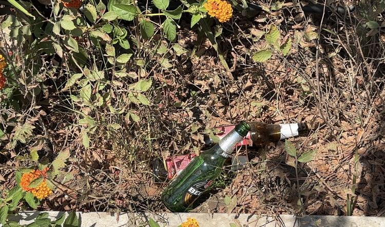 Lecce, sos verde pubblico: il caldo avanza, la manutenzione basta?