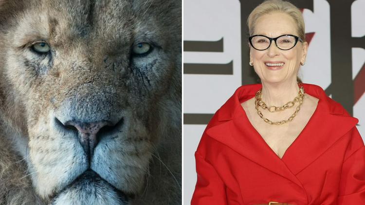 Cristãos questionam escolha de Meryl Streep para dar voz a Aslan em novo filme de “Nárnia”