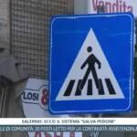 Tg InfoCilento 27 ottobre 2026, edizione delle 19:55