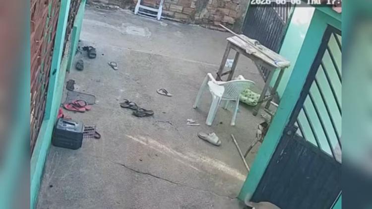 Ataque de abelhas mata quatro cães em residência no bairro Diamantino, em Santarém