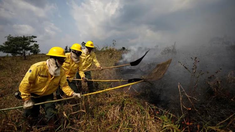 Defesa Civil alerta para alto risco de incêndios no Vale do Paraíba nesta semana; veja o mapa