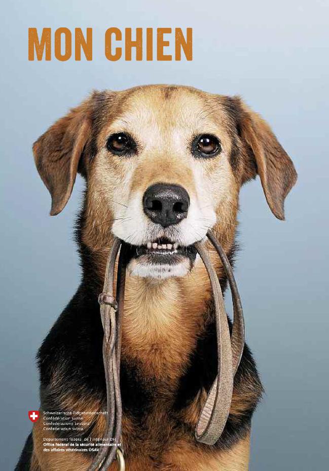 « Mon chien » – la nouvelle brochure de l’OSAV sur les chiens