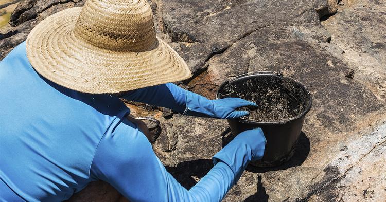 Pequenos mineradores encontram força no modelo cooperativista