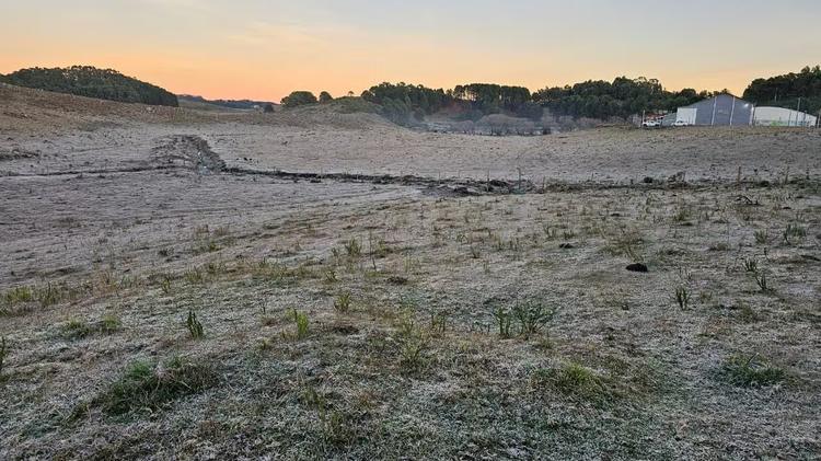 Frio de -6,7°C em SC nesta quarta foi a menor temperatura do Brasil em 2026 até agora, diz Climatempo