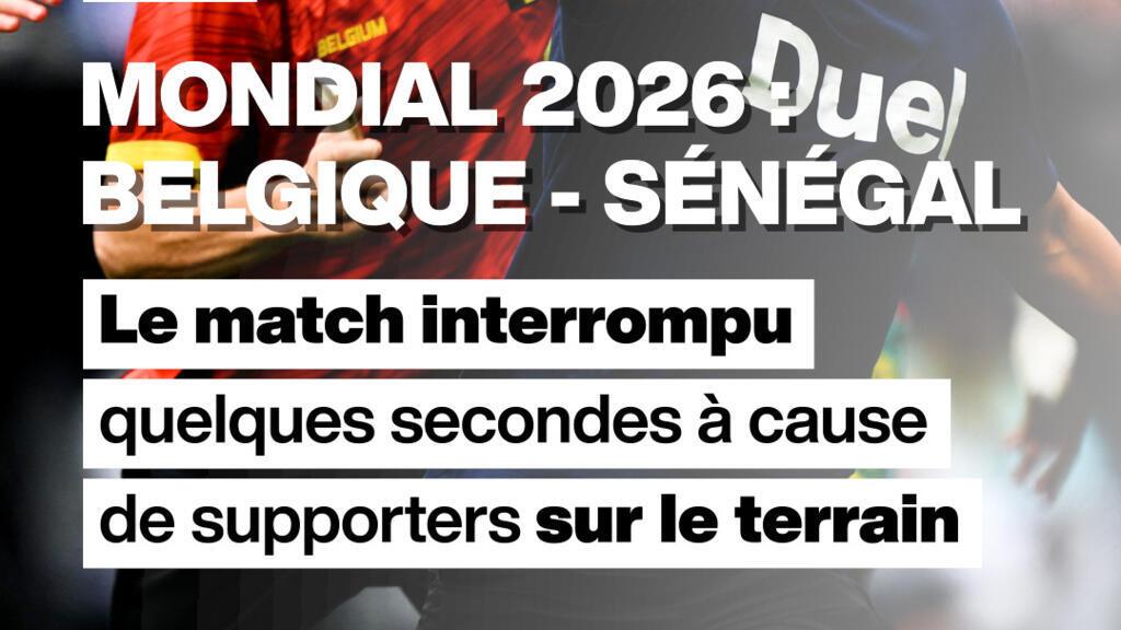 Le match Belgique - Sénégal interrompu quelques secondes à cause de spectateurs sur le terrain
