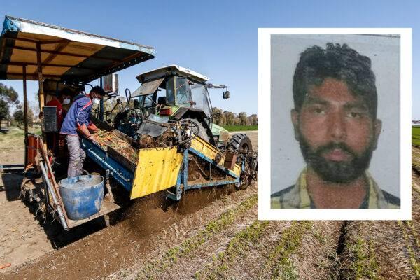Bracciante lasciato morire a terra: datore di lavoro condannato a 16 anni