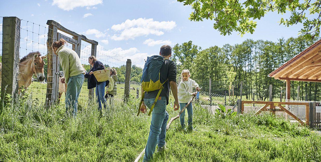 Rad- und Wanderwege in Hessen, weitere Veranstaltungen für Familien