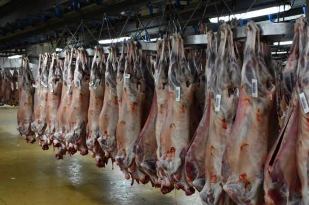 رغم الاستيراد.. أسعار اللحوم الحمراء تواصل الارتفاع إلى 160 درهما للكيلوغرام