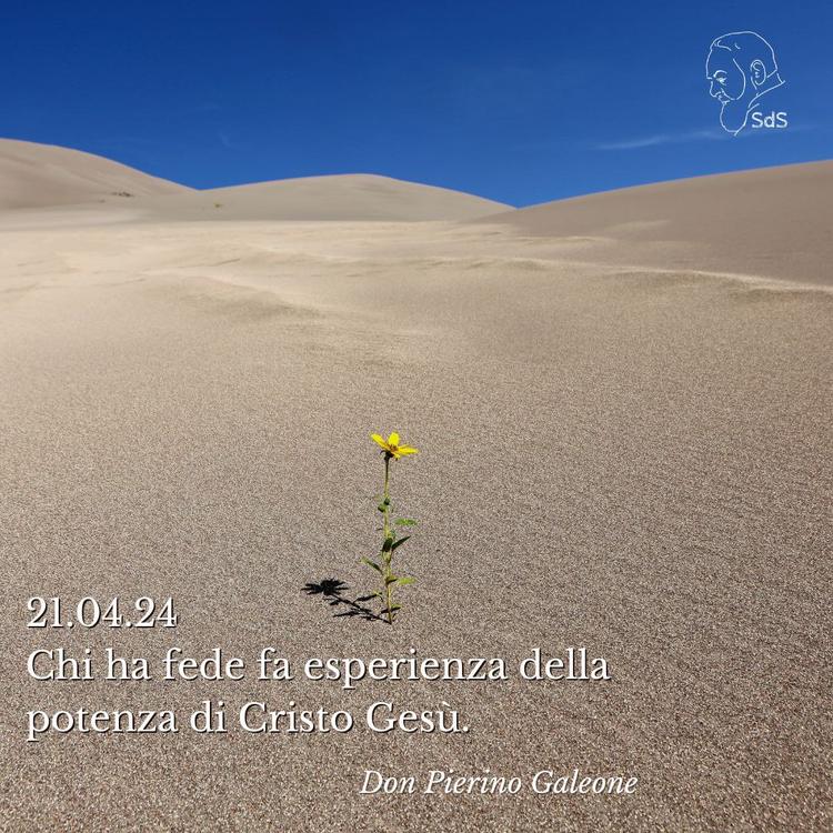 21.04.24 
Chi ha fede fa esperienza della potenza di Cristo Gesù.
