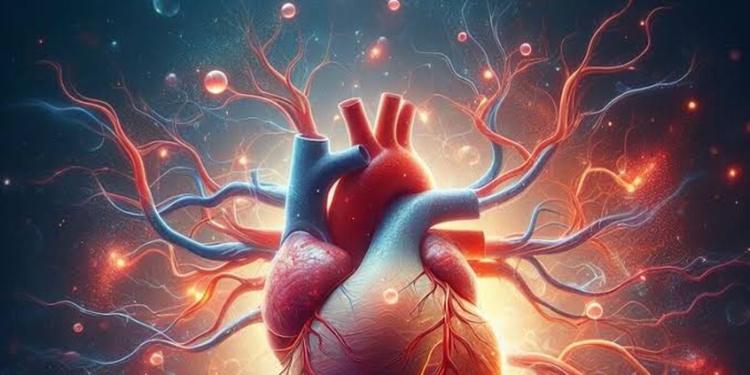 Unical, ecco il brevetto per diagnosticare le infiammazioni del cuore senza prelievi di sangue
